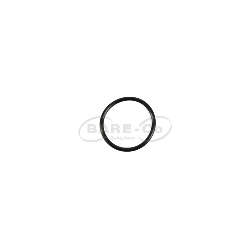 O-ring