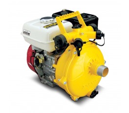 Davey 5155H Firefighter with transfer pump